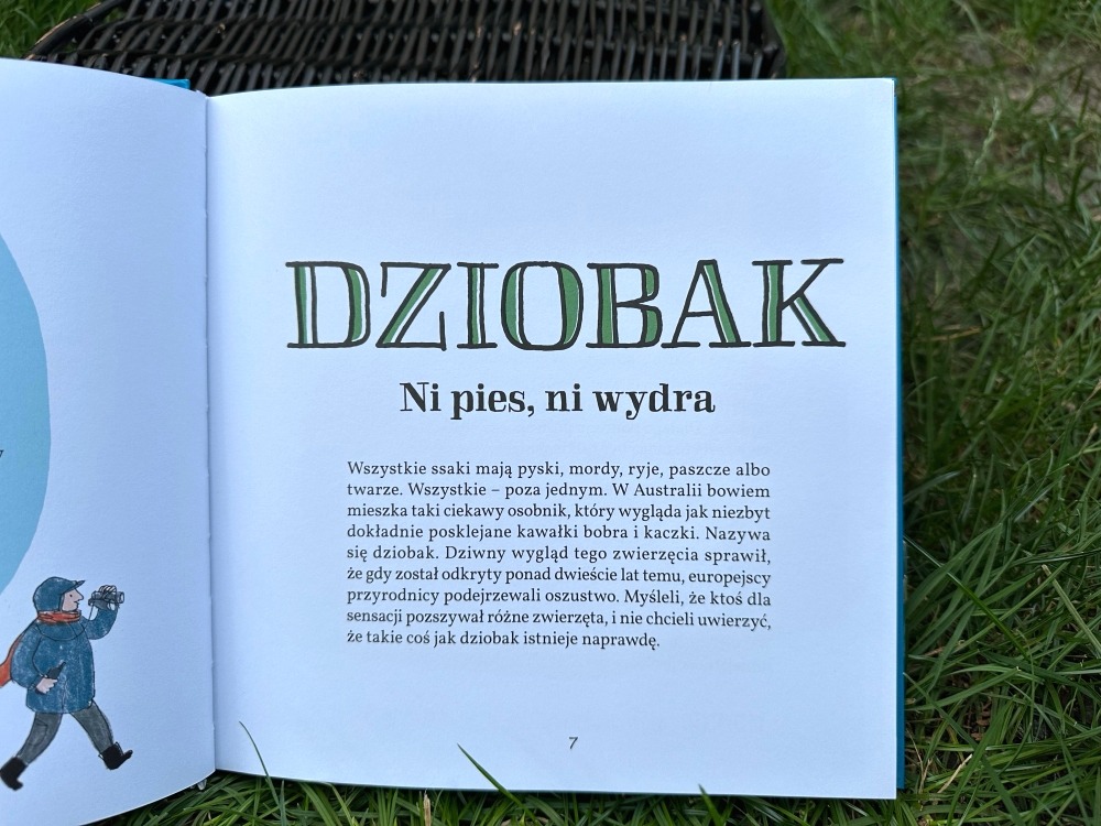 Gęby Dzioby i Nochale