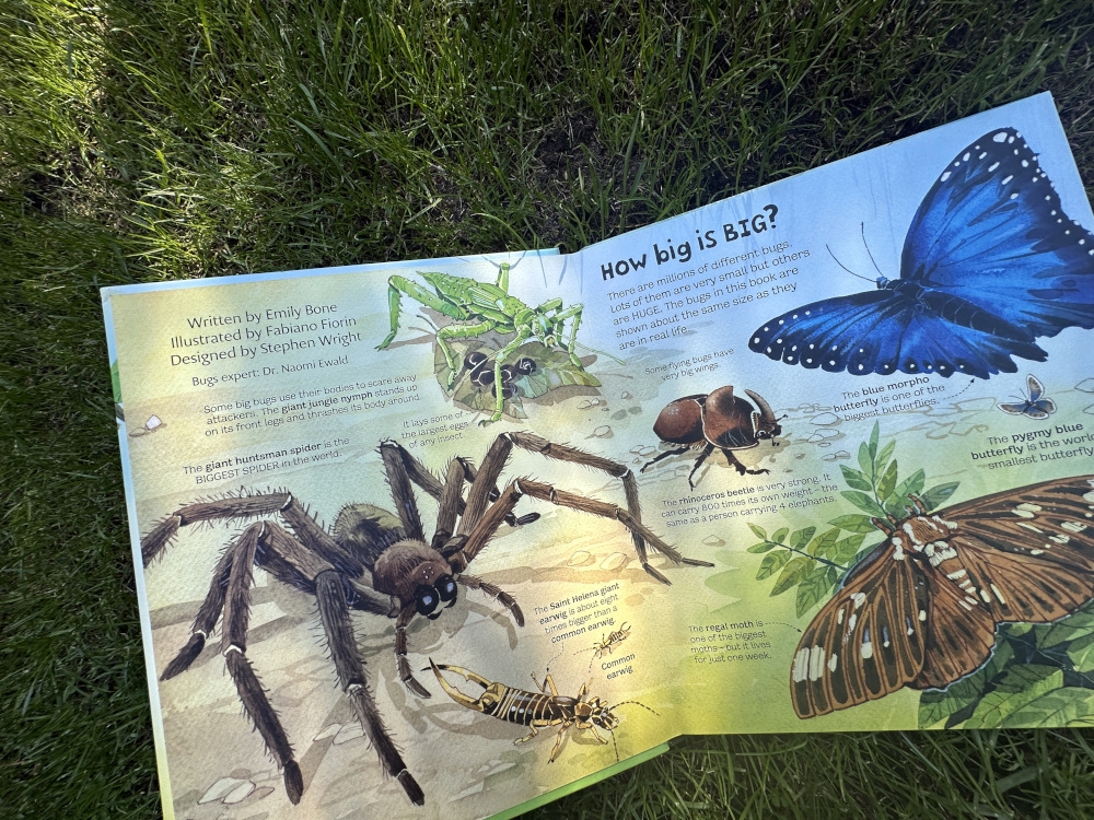 The Book of Big Bugs